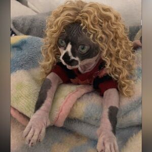 Meet your Posher, Elida sorry about the prices still learning